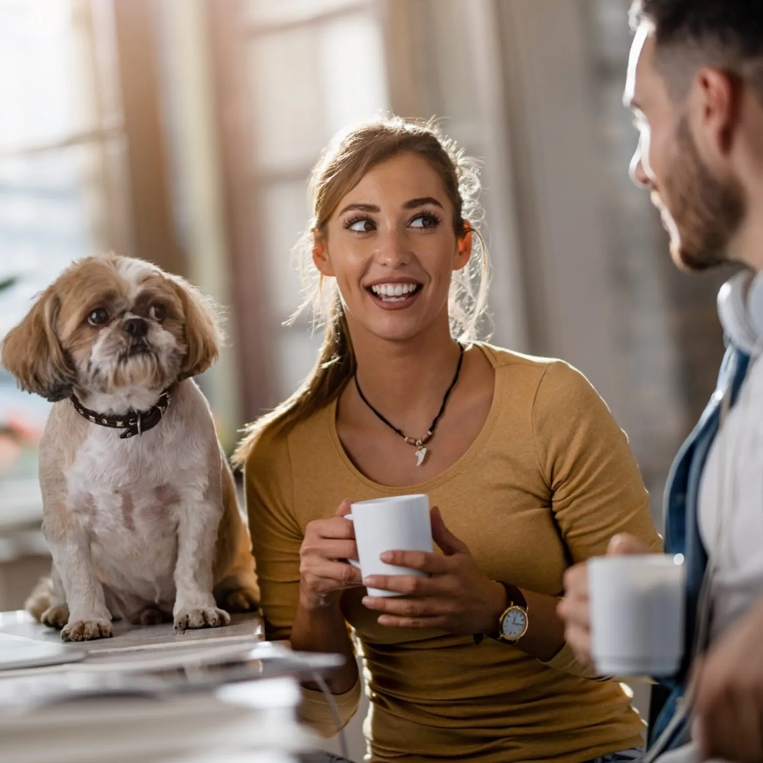 Biuro przyjazne zwierzętom. Nowoczesny benefit czy organizacyjne wyzwanie?