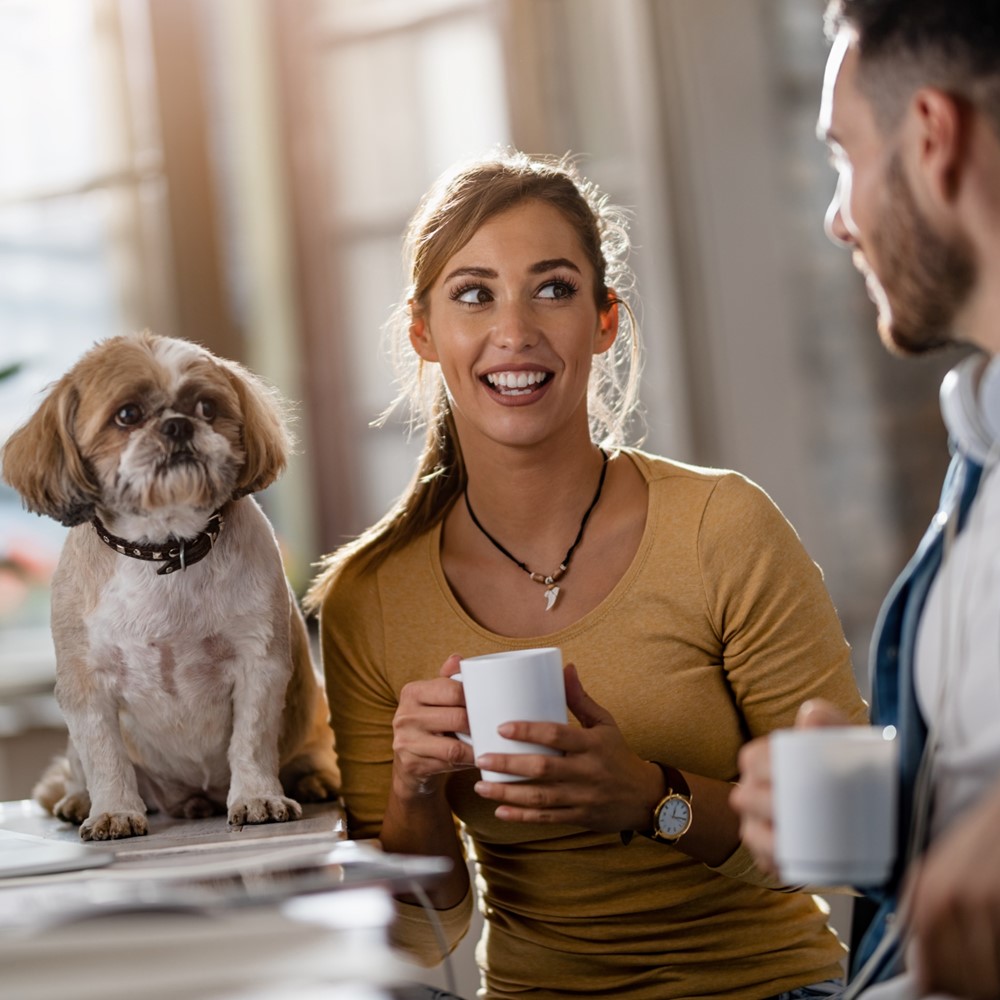 Biuro przyjazne zwierzętom. Nowoczesny benefit czy organizacyjne wyzwanie?