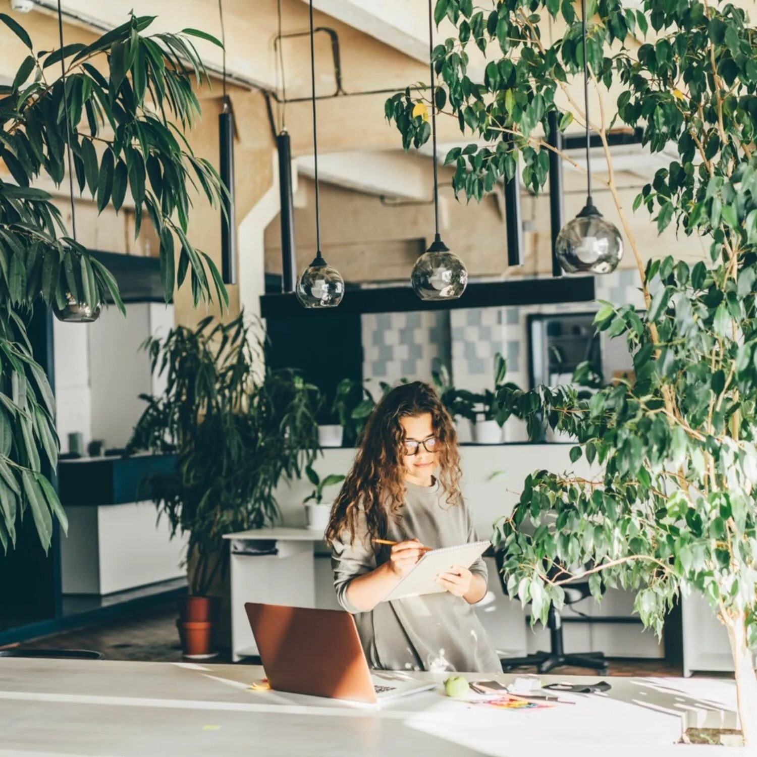 Najlepsze rośliny do biura, które wniosą życie w Twoje otoczenie