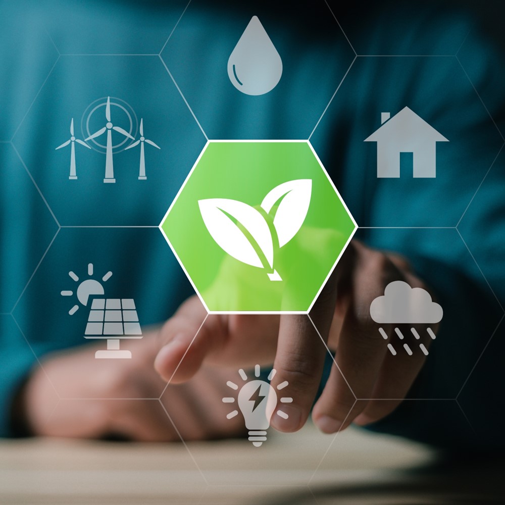 Certyfikaty ekologiczne w biurze – czy faktycznie się przydają?