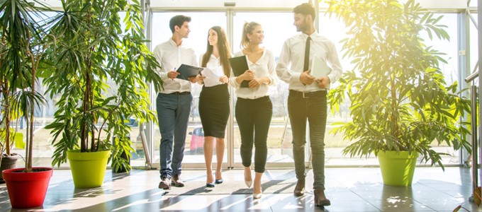 Jak eko coworking wpływa na zdrowie pracowników