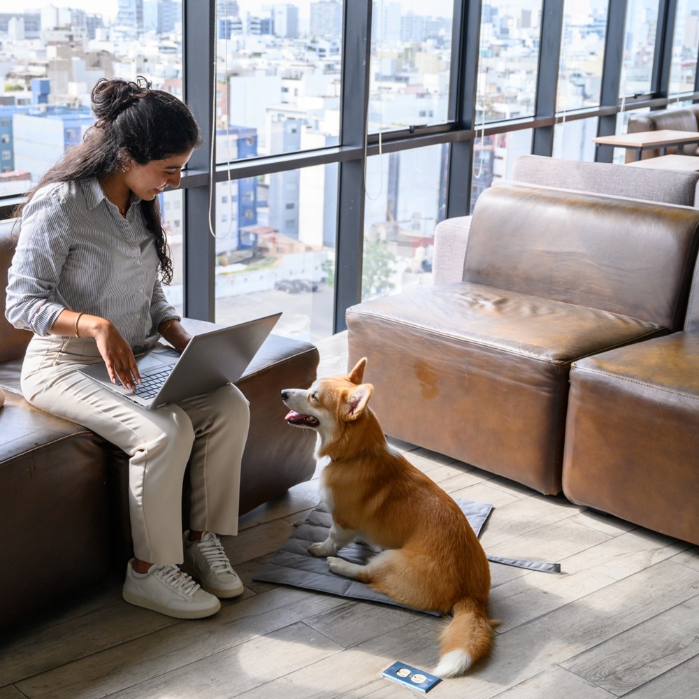 Pet-friendly office w Polsce – benefit rekrutacyjny czy organizacyjny koszmar?